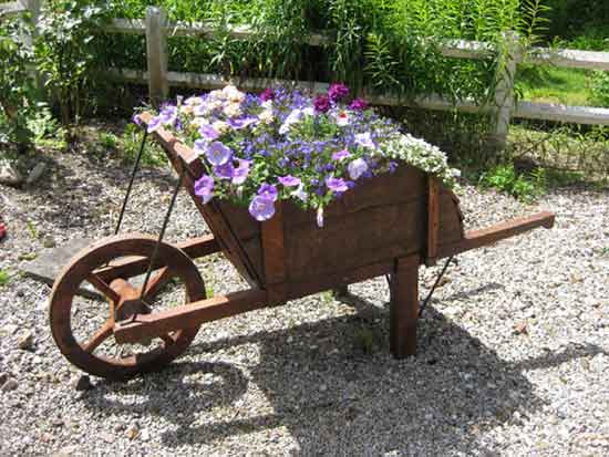 wheelbarrow of flowers